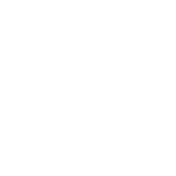 Logo Solidariteit voor het Gezin